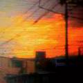 20060715_62701.jpg