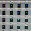 20061003_126471.jpg