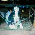 20061230_180572.jpg