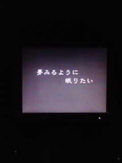 20070504_249116.jpg