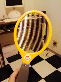 070907_2009~01.jpg