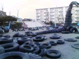 080305_1726~01.jpg