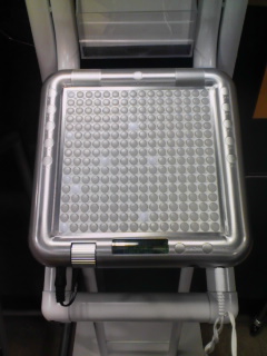 080505_2031~01.jpg