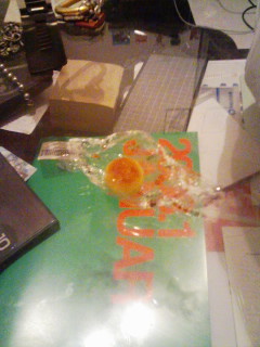 080810_2110~01.jpg