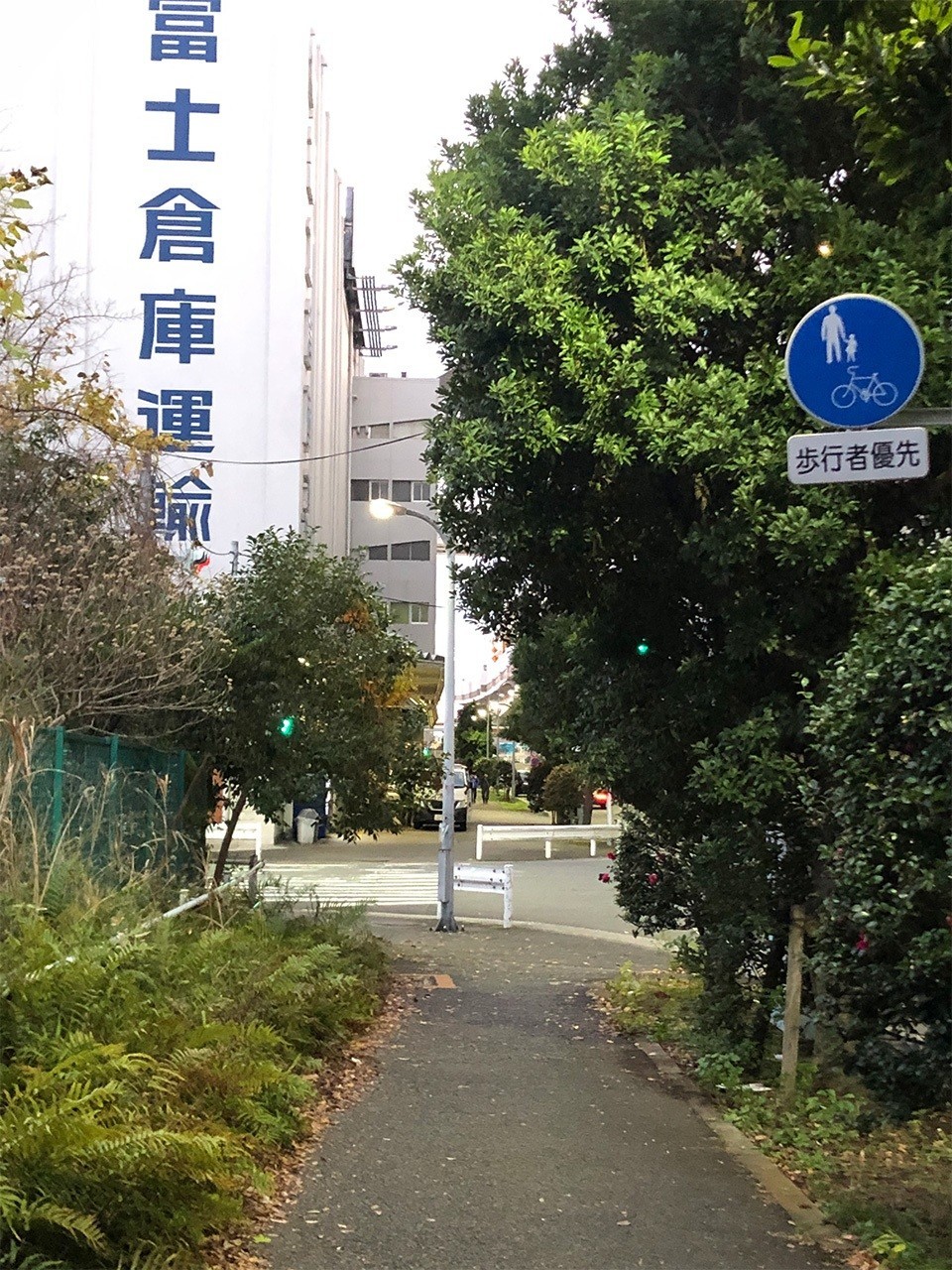 画像5