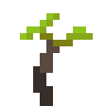 eda